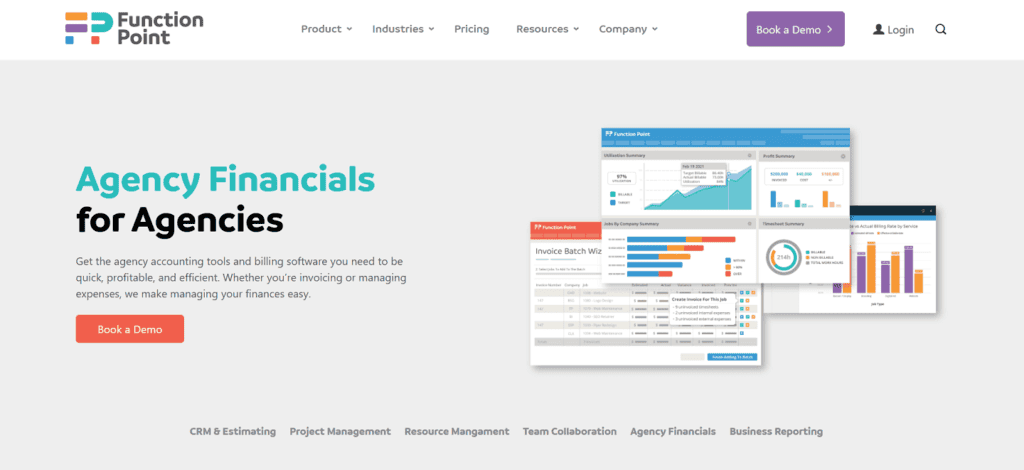 Function Point accounting project management software