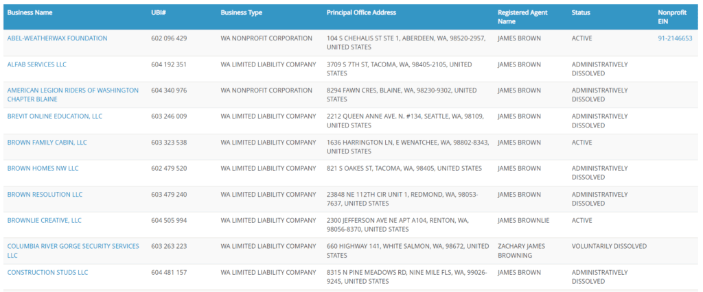 Washington Business Search agent name results