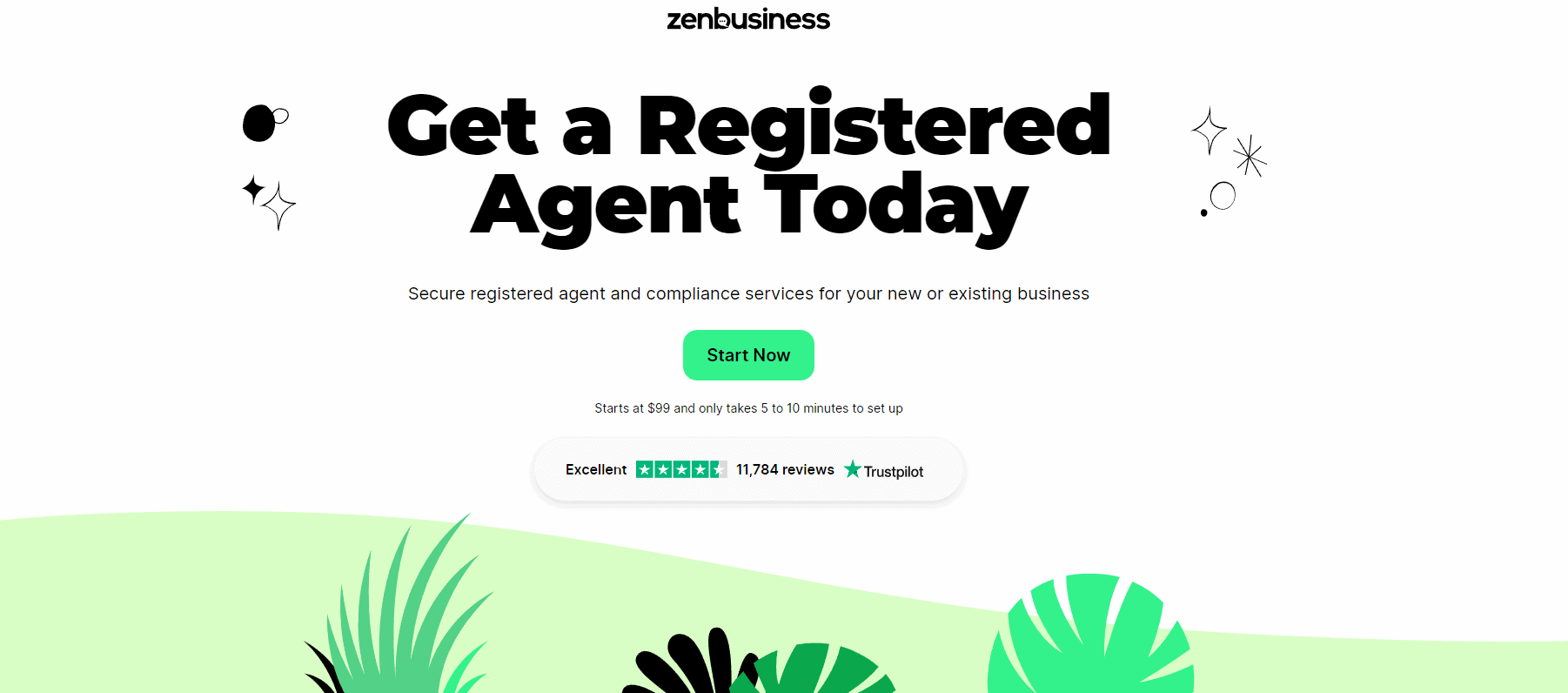 zen business landing page